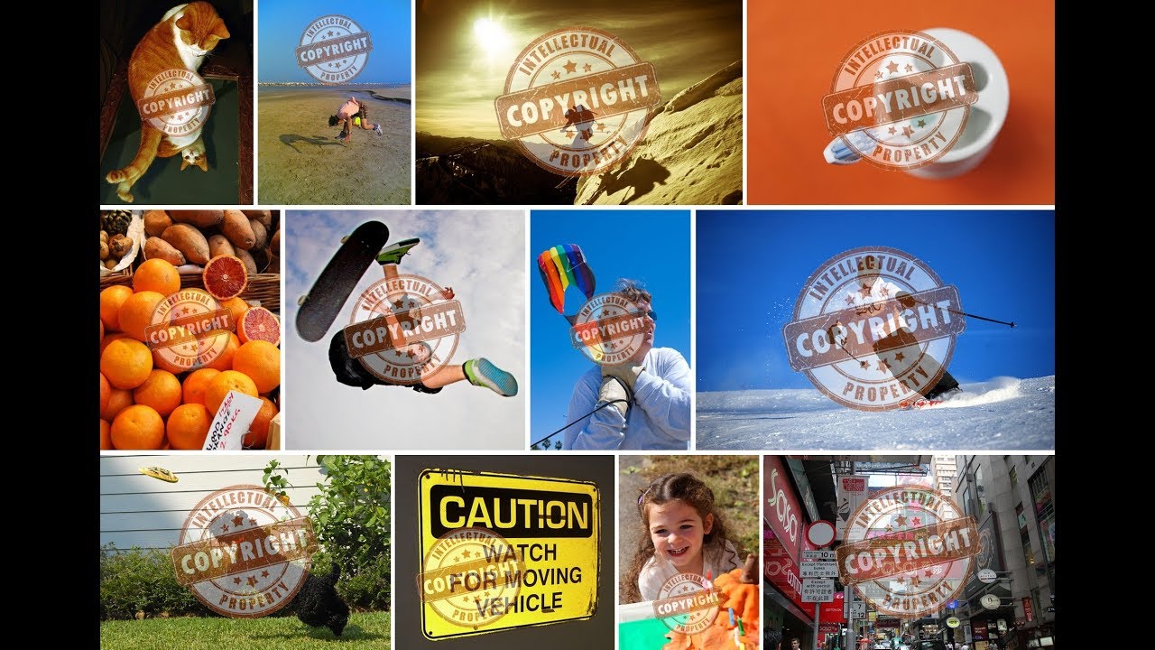 On the Effectiveness of Visible Watermarks