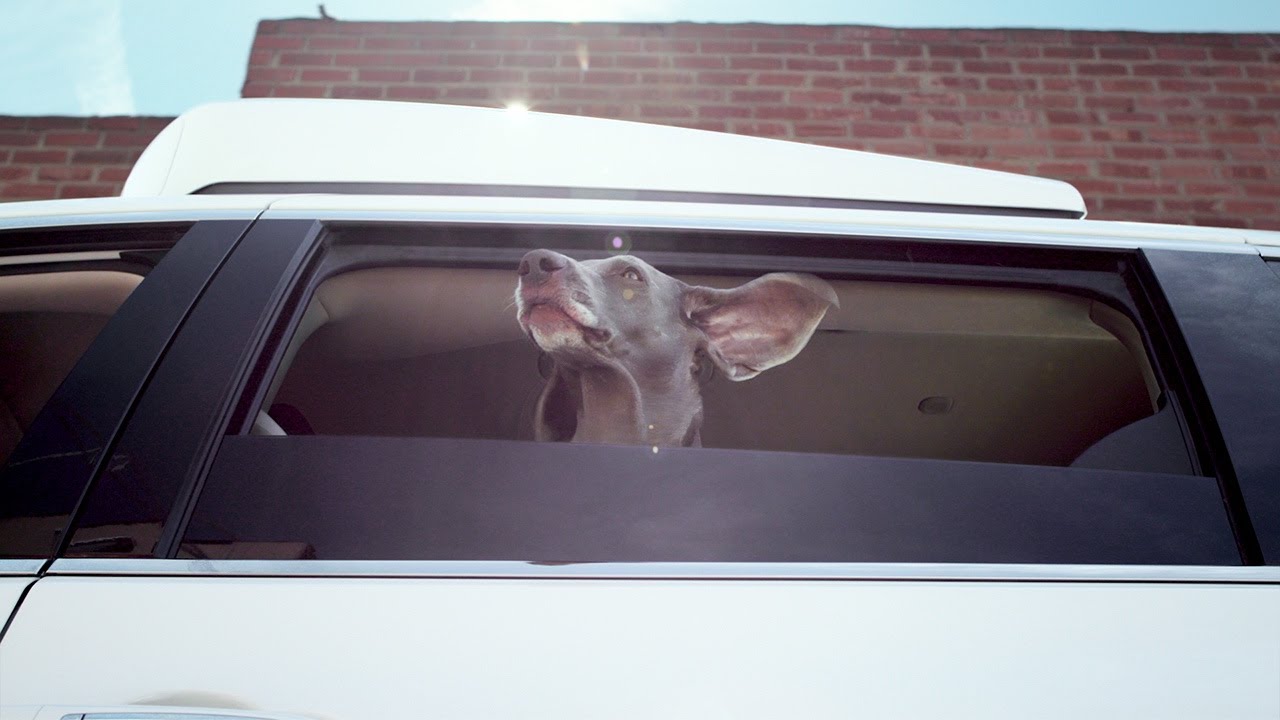 Introducing Waymo Pet - an autonomous driving technology service for pets