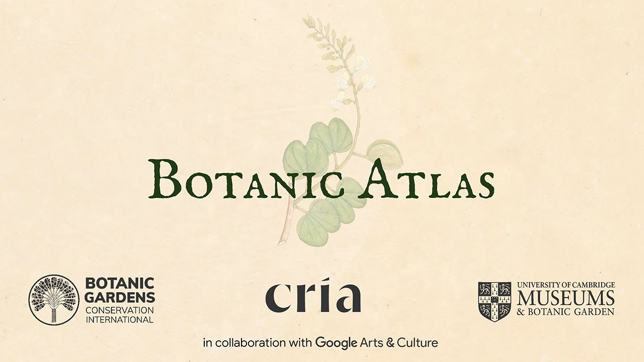 Botanic Atlas