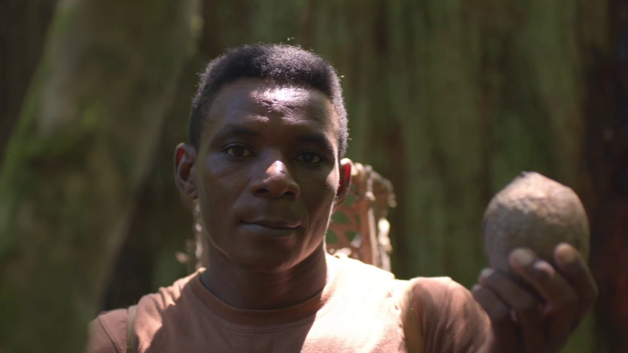 Eu Sou Amazônia - Descubra sua conexão no Google Earth