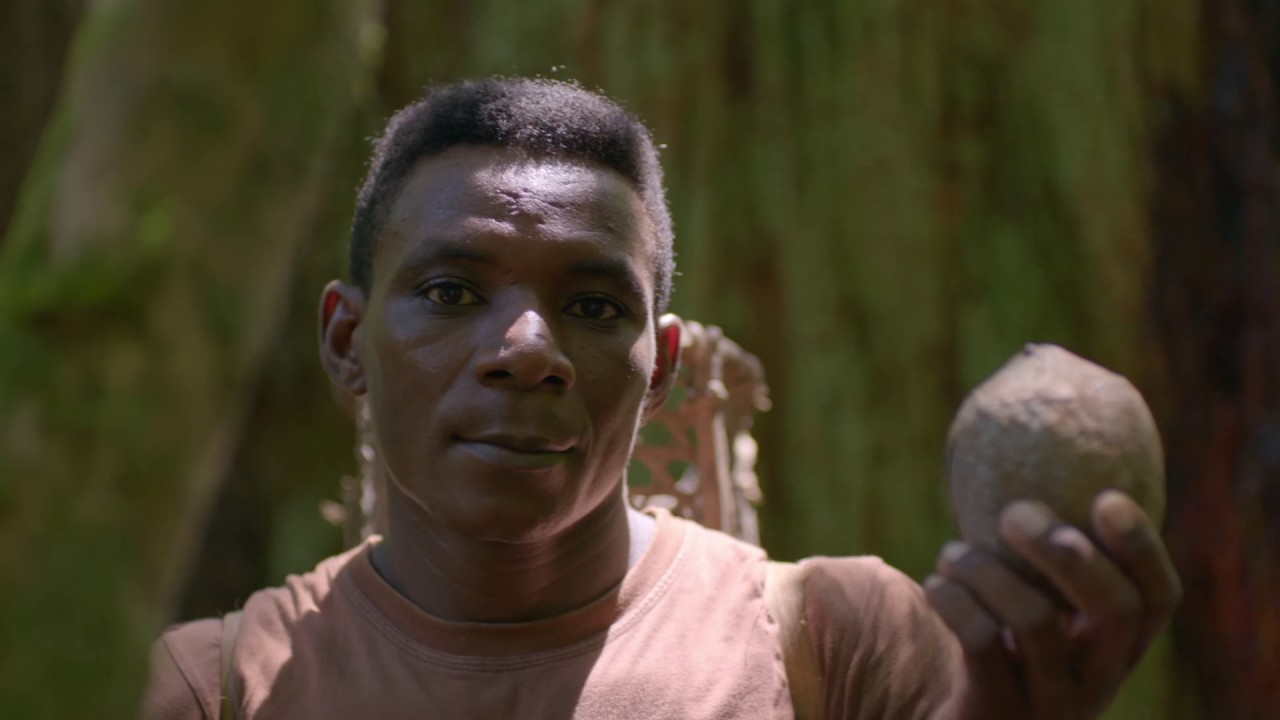 Eu Sou Alimento - Vivendo da floresta