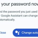 Imagem relacionada a Google Assistente agora pode trocar suas senhas comprometidas