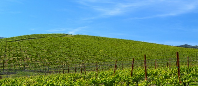 Imagem relacionada a Google Street View exibe a famosa paisagem do Windows XP