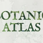 Imagem relacionada a Google lança Botanic Atlas com IA para explorar mais de 30 mil espécies de árvores e plantas do mundo