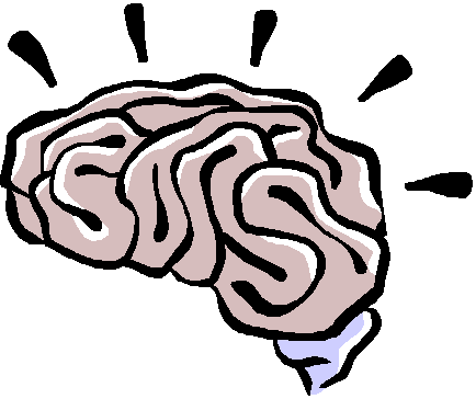 brain