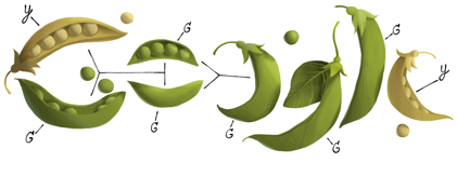 Imagem relacionada a Doodle: Google comemora o 189º aniversário de Gregor Mendel