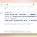 Imagem relacionada a DuckDuckGo lança DuckAssist, uma busca com IA que utiliza a Wikipedia como fonte