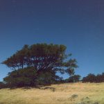 Imagem relacionada a Engenheiro do Google desenvolve app para Android que melhora fotos noturnas