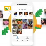 Imagem relacionada a Galeria Go, do Google Fotos, organiza e edita suas fotos