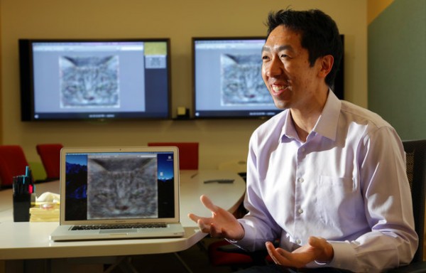 Imagem relacionada a Google utiliza 16 mil computadores para reconhecer um gato