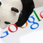 Imagem relacionada a Sons de animais na busca do Google