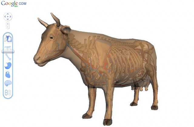 Imagem relacionada a Google Body Browser é substituído por Google Cow