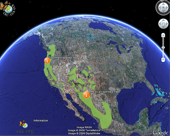 Imagem relacionada a Acompanhe a migração de animais pelo Google Earth