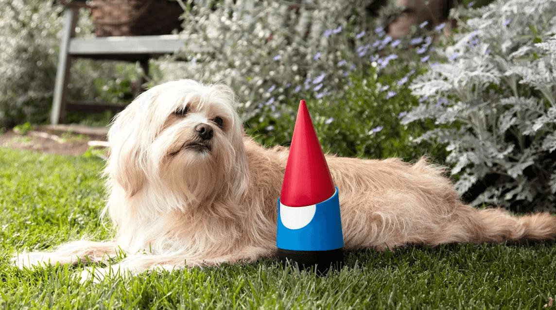 Imagem relacionada a Google lança Gnome, um gnomo de jardim inteligente