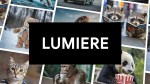 Imagem relacionada a Lumiere: A IA do Google que gera vídeos realistas a partir de texto e imagens