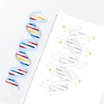 Imagem relacionada a Google e cientistas anunciam avanço significativo na pesquisa genômica com novo pangenoma humano