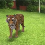 Imagem relacionada a Google leva realidade aumentada para os resultados de pesquisa