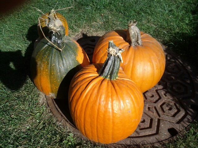 Imagem relacionada a Googleplex entra em clima de Halloween