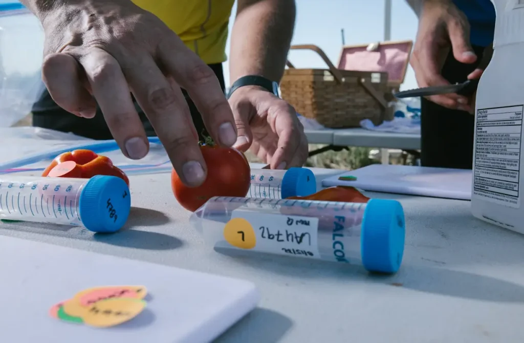 Imagem relacionada a Google X dá vida à Heritable Agriculture: startup usa IA para salvar o planeta