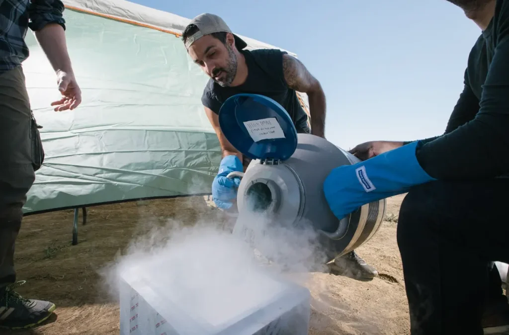 Imagem relacionada a Google X dá vida à Heritable Agriculture: startup usa IA para salvar o planeta