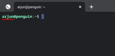 Imagem relacionada a Como executar aplicativos do Windows 10 em um Chromebook