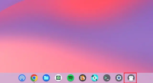 Imagem relacionada a Como executar aplicativos do Windows 10 em um Chromebook
