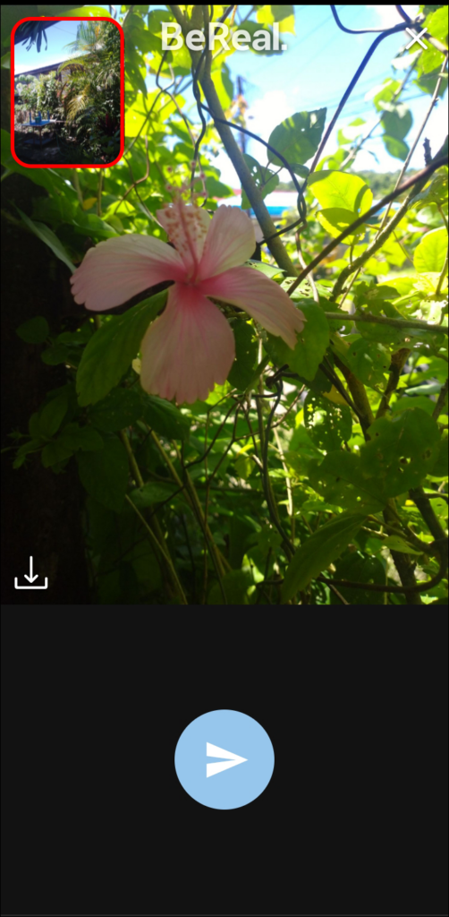 Imagem relacionada a Como funciona o BeReal?