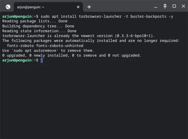Imagem relacionada a Como instalar o navegador Tor no seu Chromebook