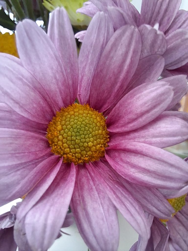 Imagem relacionada a Review do Samsung Galaxy M54 5G: um smartphone de entrada com recursos premium