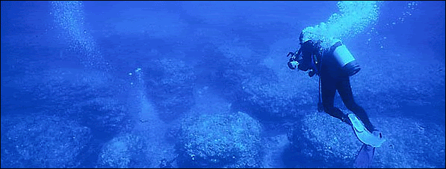 Imagem relacionada a Google Earth 5 mergulhará nos oceanos