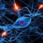 Imagem relacionada a Redes neurais do Google inventam a sua própria criptografia