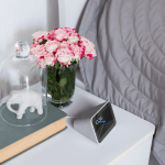 Imagem relacionada a CES 2019: Assistant Connect leva o assistente do Google para produtos de terceiros