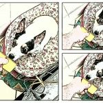 Imagem relacionada a Google lança três novos apps experimentais para Android e iOS