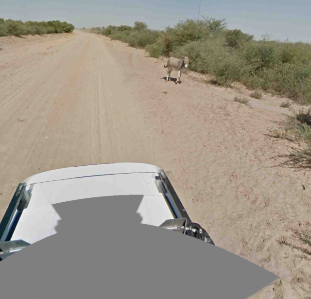 street-view-burro-3