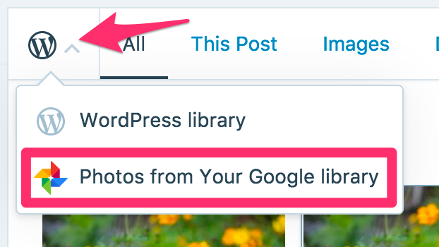Imagem relacionada a WordPress anuncia integração com o Google Photos